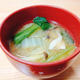 小松菜と白菜としめじの味噌汁